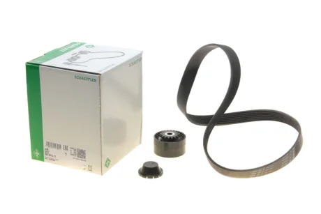 Комплект доріжкових пасків INA 529001610