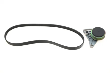 Комплект доріжкових пасків INA 529009910