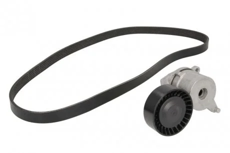 Фото комплект дорожных поясов INA 529026210 Комплект дорожных поясов INA 529026210