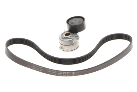 Комплект (ремінь+ролики) INA 529041910