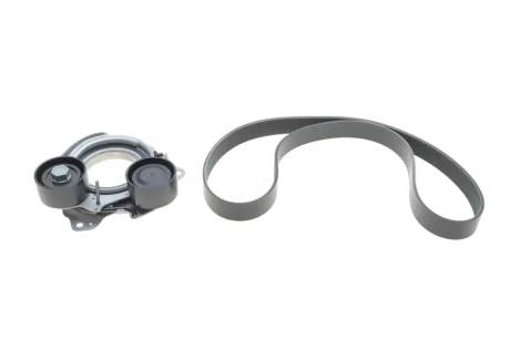 Комплект ремня ГРМ INA 529056810