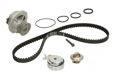 Фото набор ГРМ, пас+ролик+насос INA 530000431 Набор ГРМ, пас+ролик+насос INA 530000431