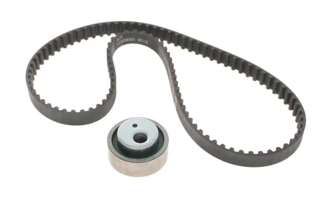 Комплект ГРМ (ремінь + ролик) INA 530001210