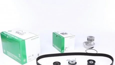 Фото комплект ременя ГРМ з помпою води INA 530 0049 30 Комплект ременя ГРМ з помпою води INA 530 0049 30