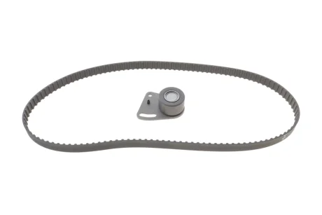 Комплект ремня ГРМ INA 530 0135 10