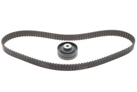 Комплект ремня ГРМ INA 530015310