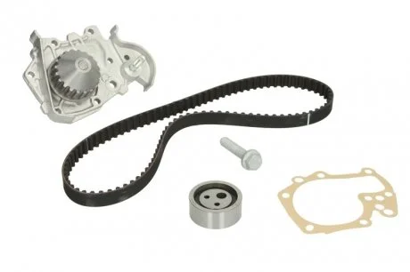 Комплект ГРМ, пас+ролик+помпа INA 530019131