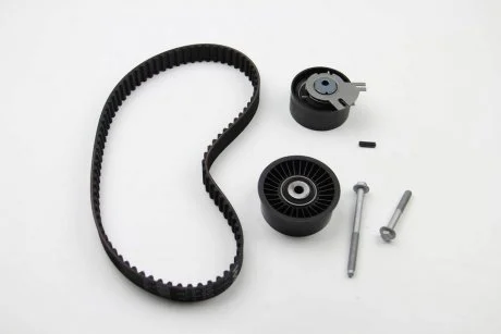 Комплект ГРМ (ремінь + ролик) INA 530019810