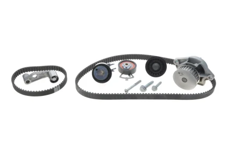Набір ГРМ, пас+ролик+помпа INA 530036030