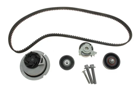 Набір ГРМ, пас+ролик+помпа INA 530044131