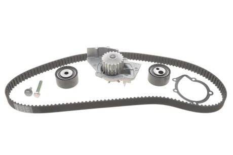 Набор ГРМ, пас+ролик+насос INA 530047430