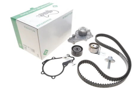 Комплект ГРМ INA 530069830