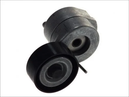 Ролик натяжний INA 534005310