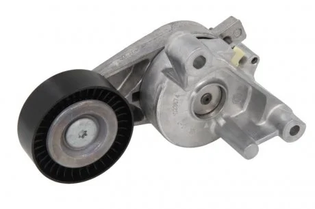 Фото ролик натяжний INA 534005910 Ролик натяжний INA 534005910