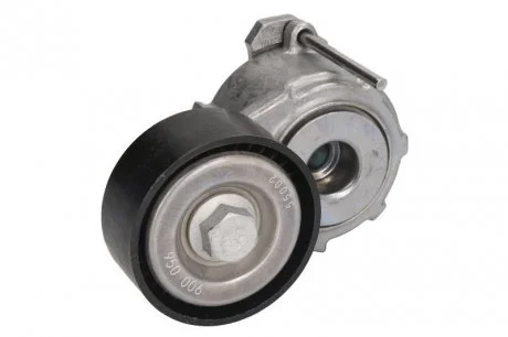 Натяжитель INA 534 0111 20