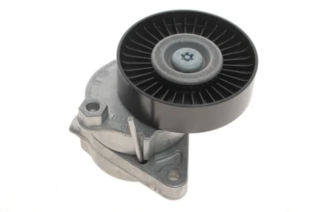 Натяжитель 531 0487 30 INA 534 0114 20