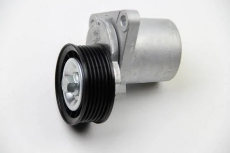 Фото натяжной механизм генератора, 2.3 16V INA 534012820 Натяжной механизм генератора, 2.3 16V INA 534012820