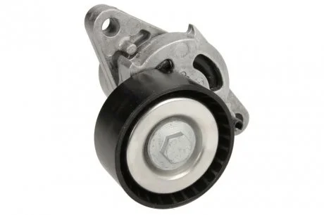 Ролик привідного ременя INA 534027110