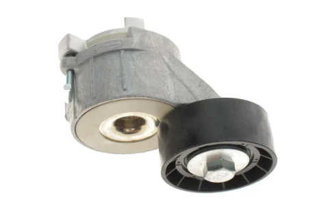 Натяжитель INA 534040010