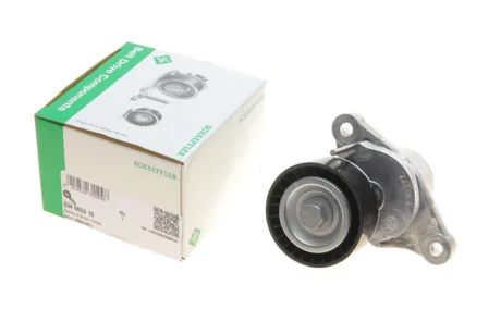 Ролик привідного ременя INA 534065510