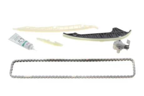 Комплект ланцюг натягувач INA 559 0196 22