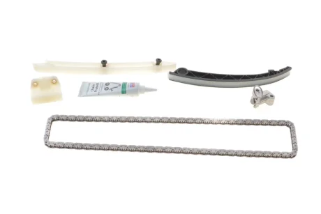 Комплект ланцюга приводу розподільного валу INA 559 1821 20