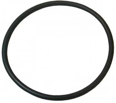 Фото прокладка термостата (QUINTON HAZELL) JP GROUP 1114650700 Прокладка термостата (QUINTON HAZELL) JP GROUP 1114650700