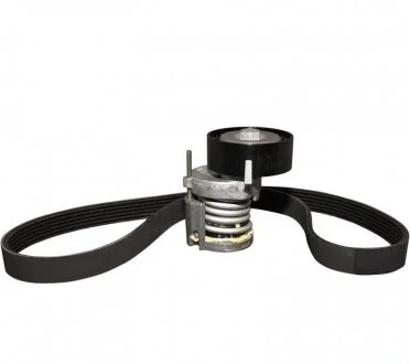 Фото 1 - поликлиновой ременный комплект (QUINTON HAZELL) JP GROUP 1118110110 Поликлиновой ременный комплект (QUINTON HAZELL) JP GROUP 1118110110 (фото 1)