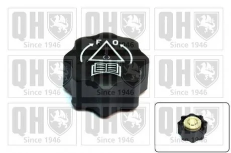 Кришка радіатора (QUINTON HAZELL) JP GROUP FC535