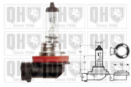 Автолампа H11 12V 55W PGJ19-2 JP GROUP QBL711