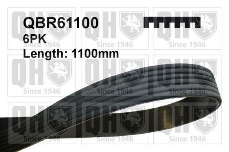 Ремiнь клиновий 6PK#1100 JP GROUP QBR61100