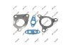 Комплект прокладок турбіни RENAULT MEGANE II (BM0/1, CM0/1) 07-08,LATITUDE (L70) 11-,LAGUNA III (KT0/1) 07-15 Jrone 2090-505-512 (фото 1)