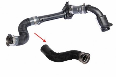 Патрубок інтеркулера правий RENAULT FLUENCE, GRAND SCENIC III, MEGANE III, SCENIC III 1.5D 02.09- Kautek RE-TH001