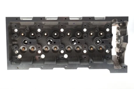 Головка блока цилиндрів Sprinter/Vito (639) OM646 06- Kolbenschmidt 50003122