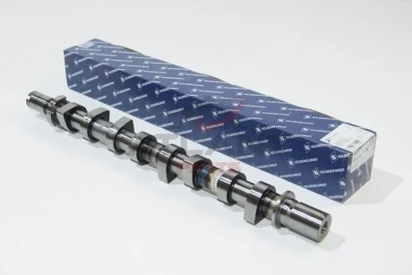 Кулачковий вал Kolbenschmidt 50007076