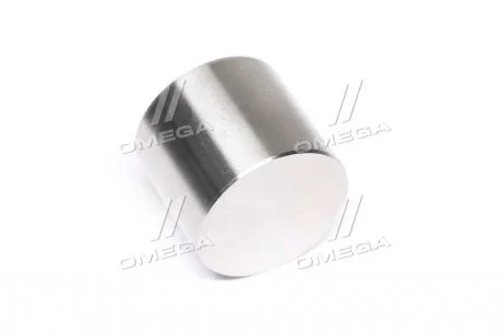 Фото гидрокомпенсатор Kolbenschmidt 50007542 Гидрокомпенсатор Kolbenschmidt 50007542