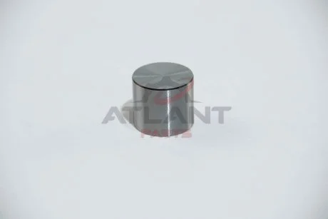 Фото толкатель клапана Kolbenschmidt 50007544 Толкатель клапана Kolbenschmidt 50007544