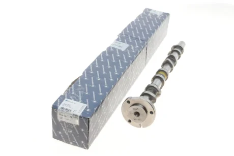 Розподільчий вал Kolbenschmidt 50007687