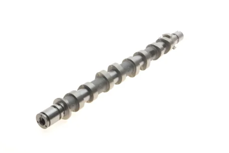 Вал распределительный Kolbenschmidt 50007774