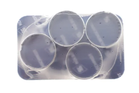 Підшипник ковзання Kolbenschmidt 77524690