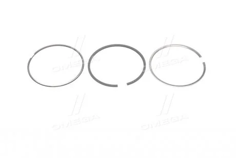 Кольца поршневые STD Citroen Jumper/Fiat Ducato/Ford Mondeo/Transit,Peugeot Boxer 2.2 HDi,2.2TDCi 01- Kolbenschmidt 800075210000