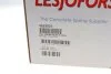 Пружина LESJOFORS 4262025 (фото 6)