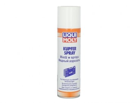 Мастило для ланцюгів LIQUI MOLY 3970250ML (фото 1)