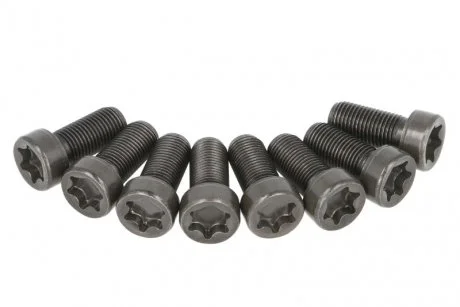 Набір гвинтів, маховик H-1 Travel (TQ), 09. LuK 411023010