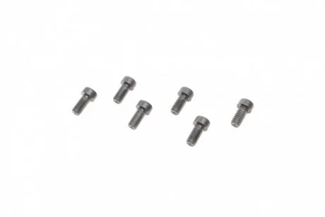 Фото набір болтів LuK 411 0256 10 Набір болтів LuK 411 0256 10