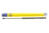 Газова пружина кришки багажника MAGNETI MARELLI 430719095600 (фото 1)