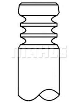 Клапан выпускной MAHLE / KNECHT 007VA31881000