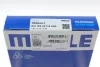Поршневі кільця MAHLE MAHLE / KNECHT 021RS001190N0 (фото 6)
