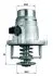 Термостат MAHLE MAHLE / KNECHT TM27105 (фото 1)
