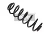Пружина подвески VW T. PASSAT 05- KOMBI/TIGUAN 05- MAXGEAR 600447 (фото 1)